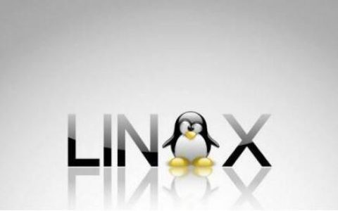 Linux运维：使用ss命令代替netstat