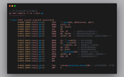 走进Golang之运行与Plan9汇编