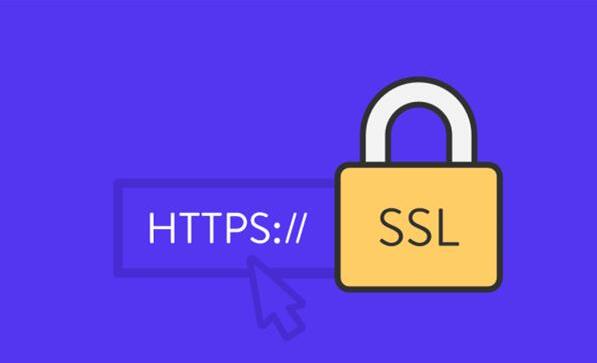 在线安全威胁：隐藏在SSL中的加密恶意软件