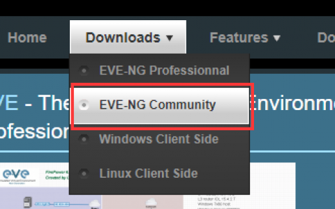 EVE-NG安装及配置
