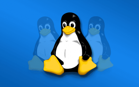针对Linux系统的FontOnLake Rootkit 恶意软件曝光！
