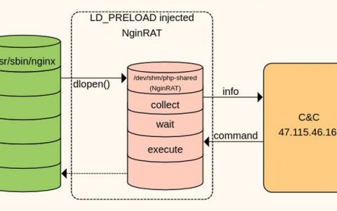 新型寄生虫程序隐藏在Nginx进程中，窃取电商平台支付数据