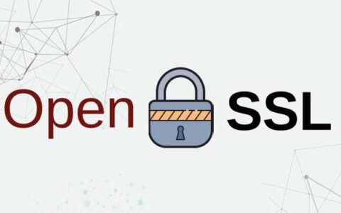 OpenSSL库曝新型无限循环安全漏洞，可使远程服务器崩溃