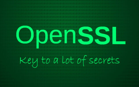 OpenSSL曝出2个远程代码执行高危安全漏洞，已发布安全补丁