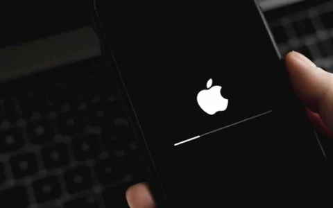 苹果iOS系统内核曝零日漏洞，可用于提权且已在野积极利用