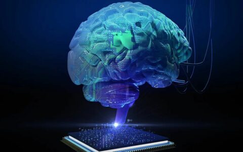 AI+人类：破解认知战“虚假信息”的终极防线